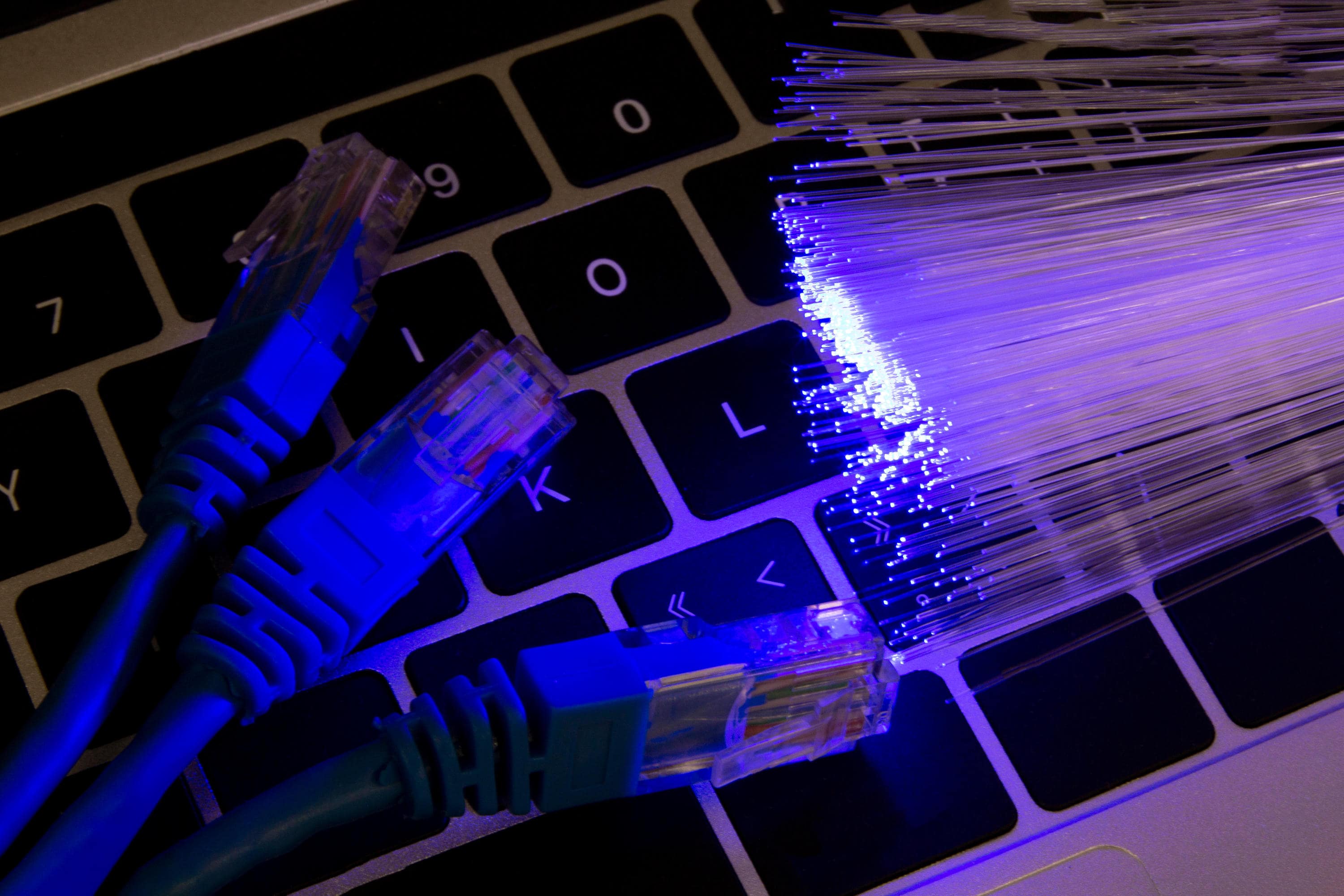 How can Net Suite help you function better and support the growth of your company?